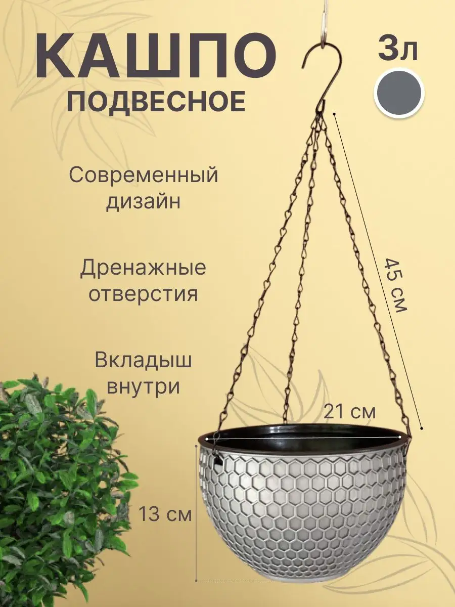 Бак опа жив в подвесном кашпо