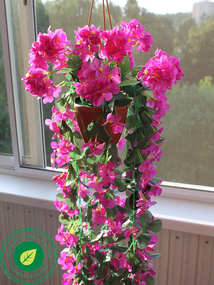 Кислица жив в подвесном кашпо