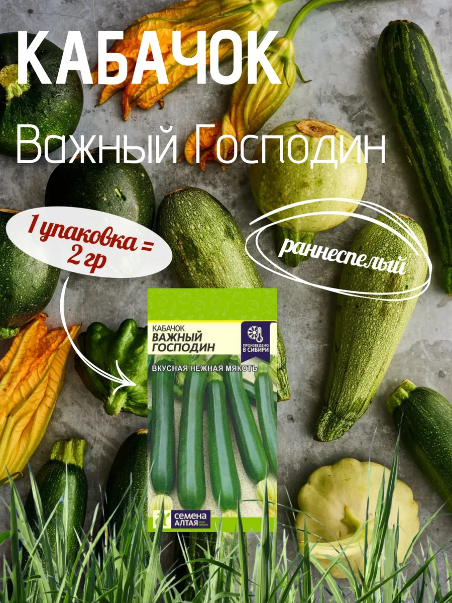 Семена Кабачок цуккини "Важный господин" 2гр "Семена Алтая" (10)