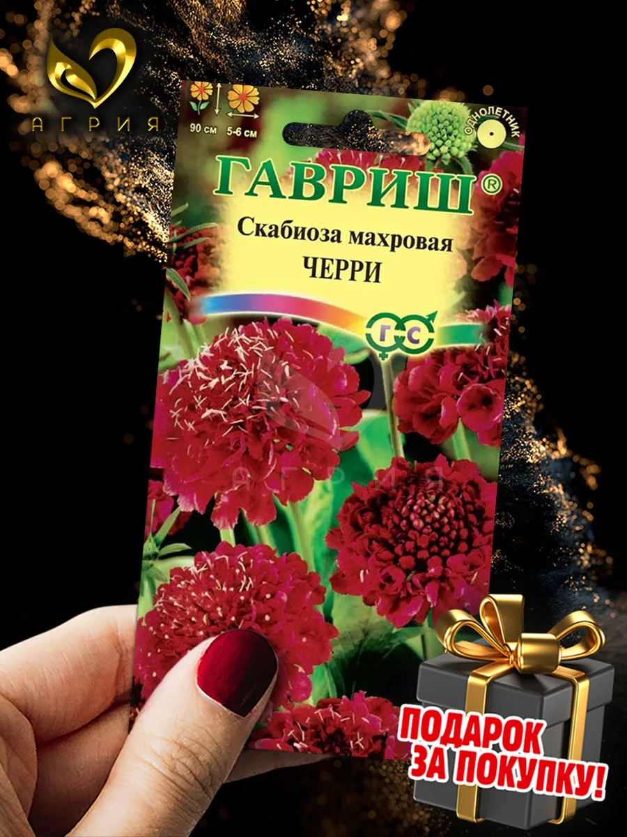 Семена Скабиоза махровая "Черри" 0,2гр "Гавриш" (*1, 10)